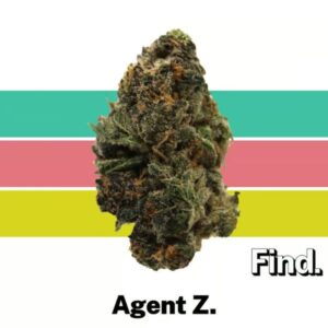 Find Agent Z Whole Flower