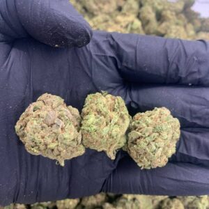 OG KUSH