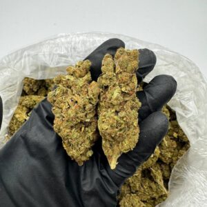 Northern lights