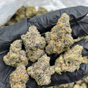 Biscotti gushers