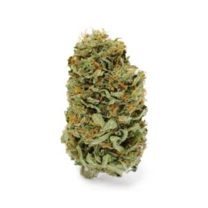 Amnesia Haze