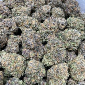 GELATO