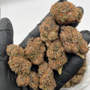 Rainbow sherb (licensed mixed light):