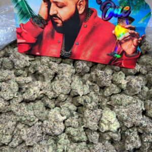 KHALED | POUND