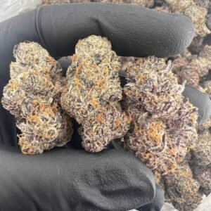 24k X BAM RUNTZ (Super exotics)