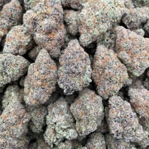 BLUE MANGO SHERBERT 😘